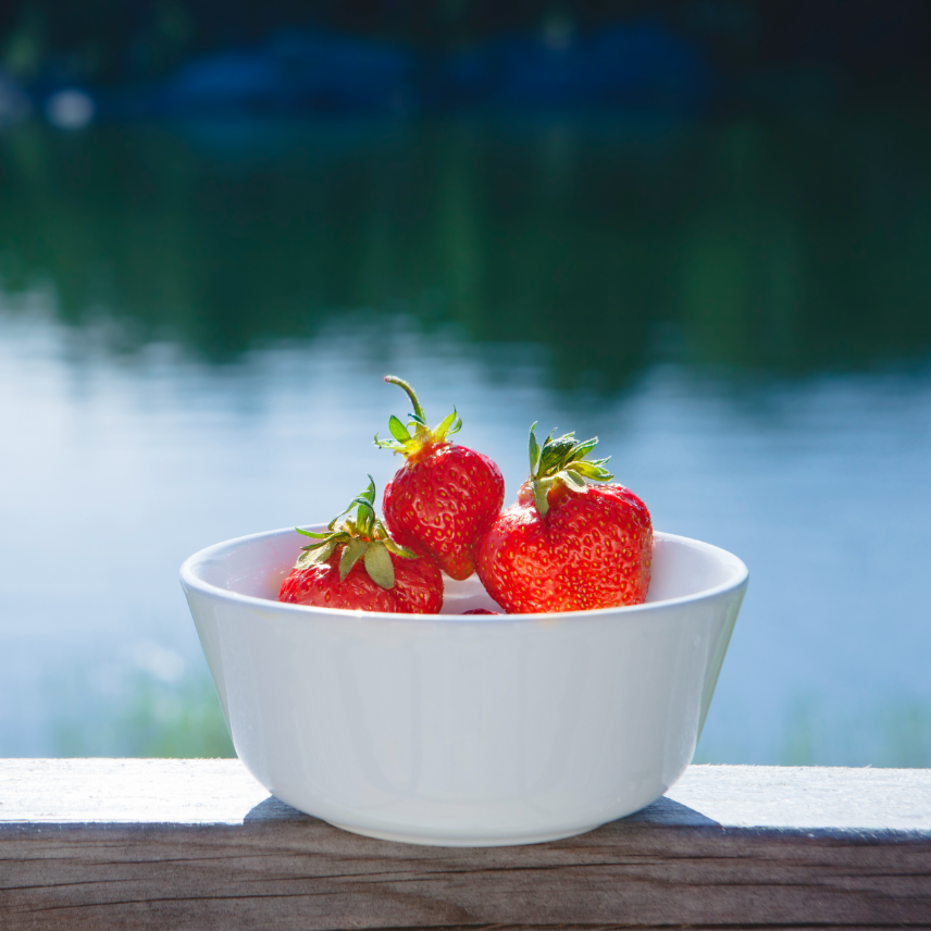 Trevlig sommar – startsida