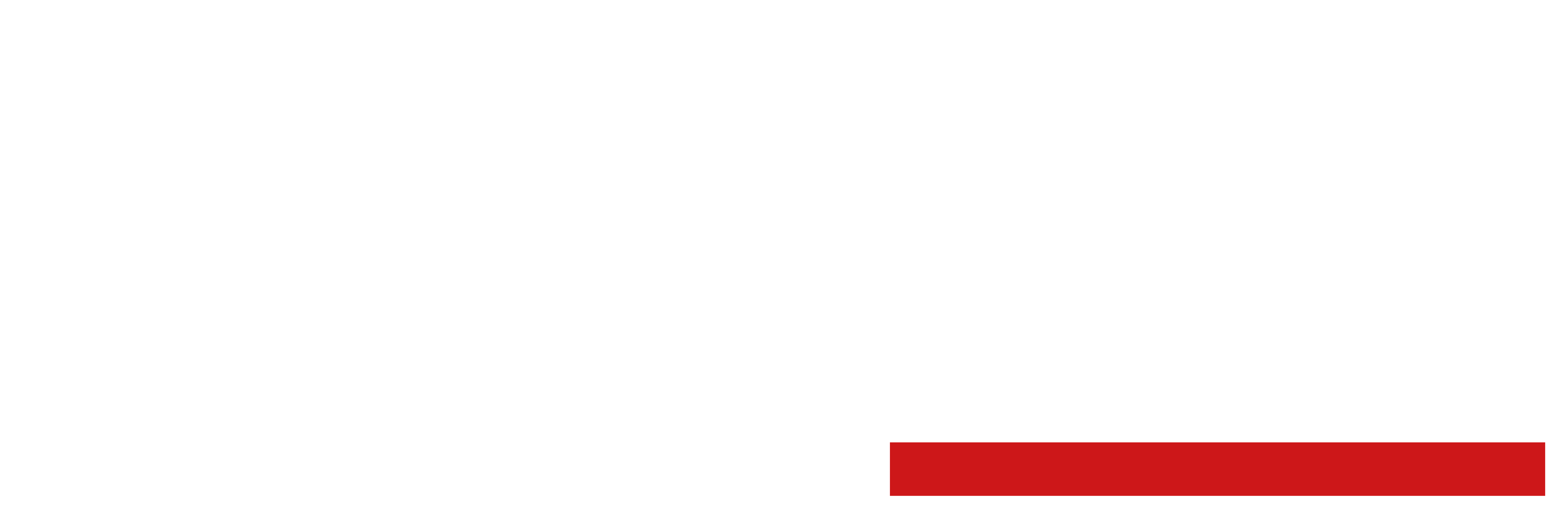 Logo Easy vit 1